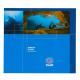 Wreck Diver Speciality Manual